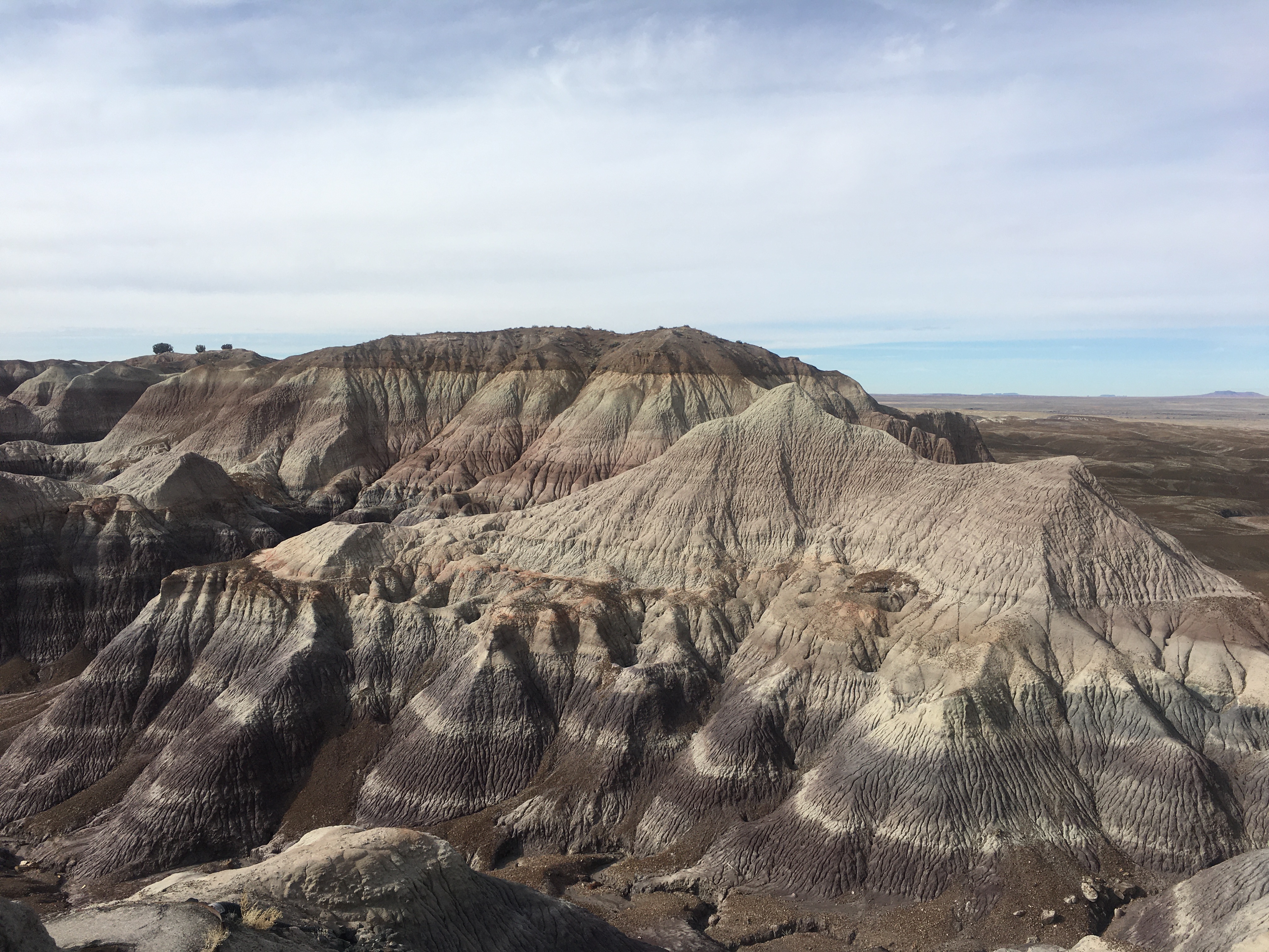 Florence Blog Image 2